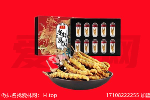 临沂费县回收虫草.jpg
